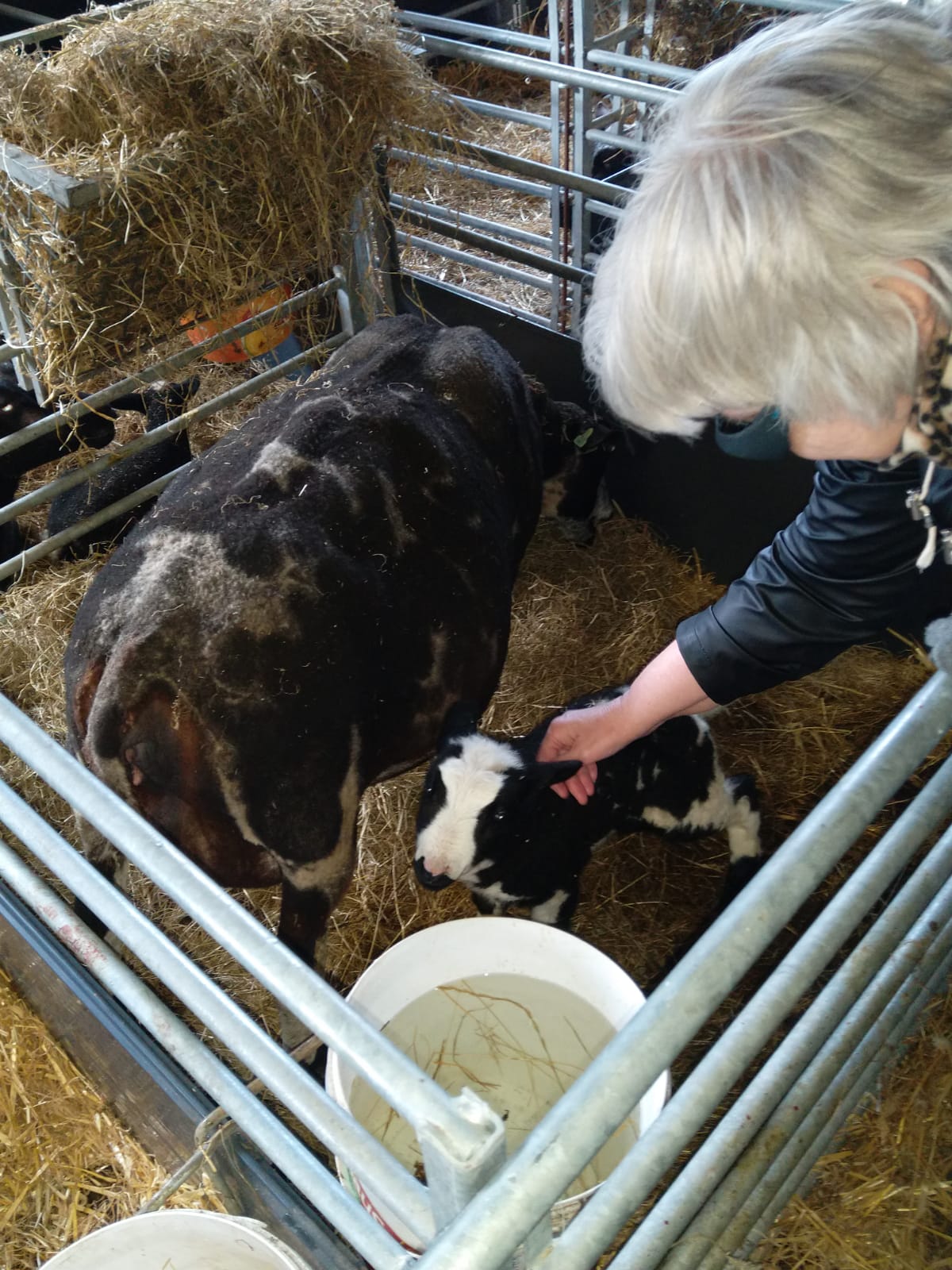 Anne met een heel lief lammetje