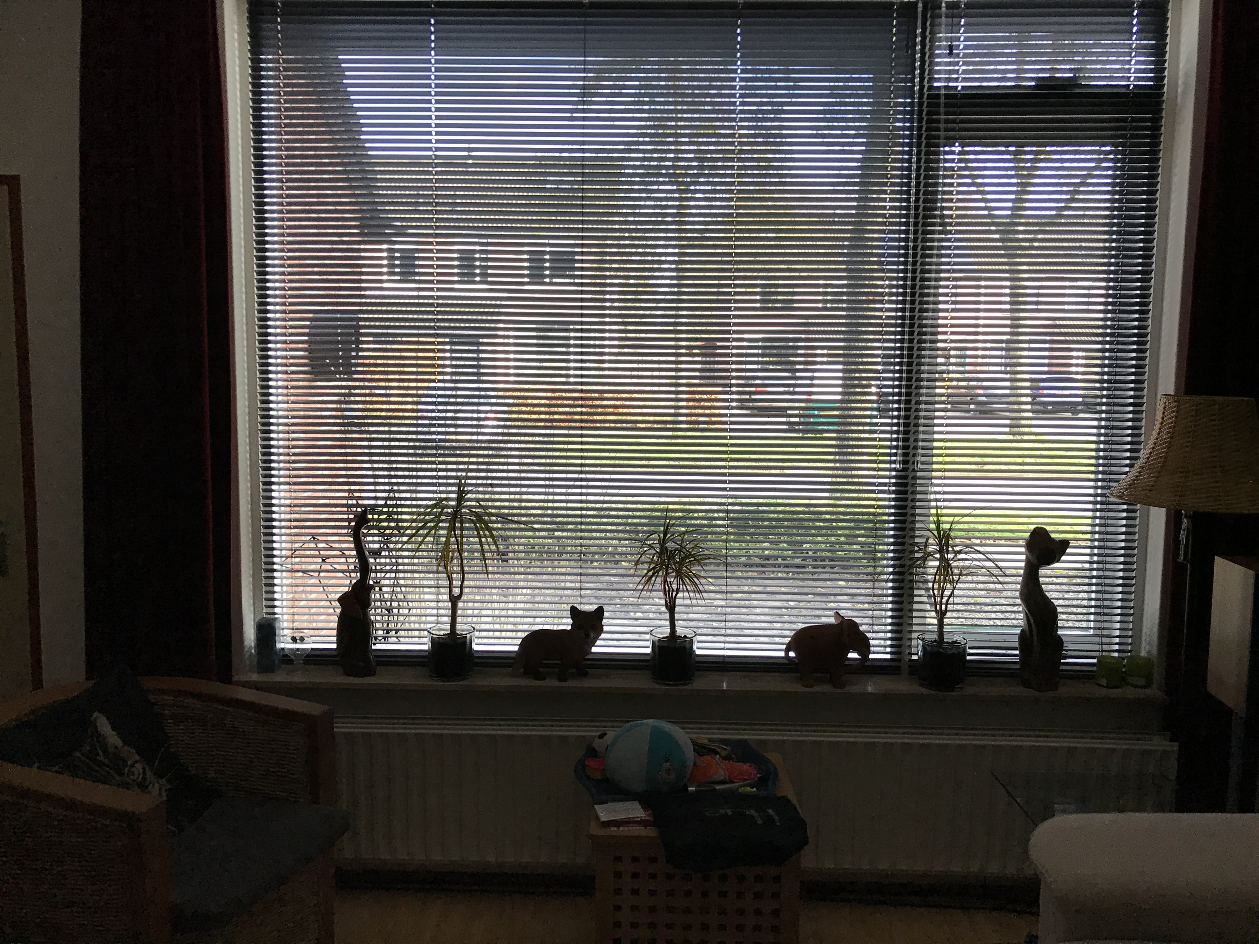 De 2 jalousieën hangen nu prachtig voor het raam in onze woonkamer.