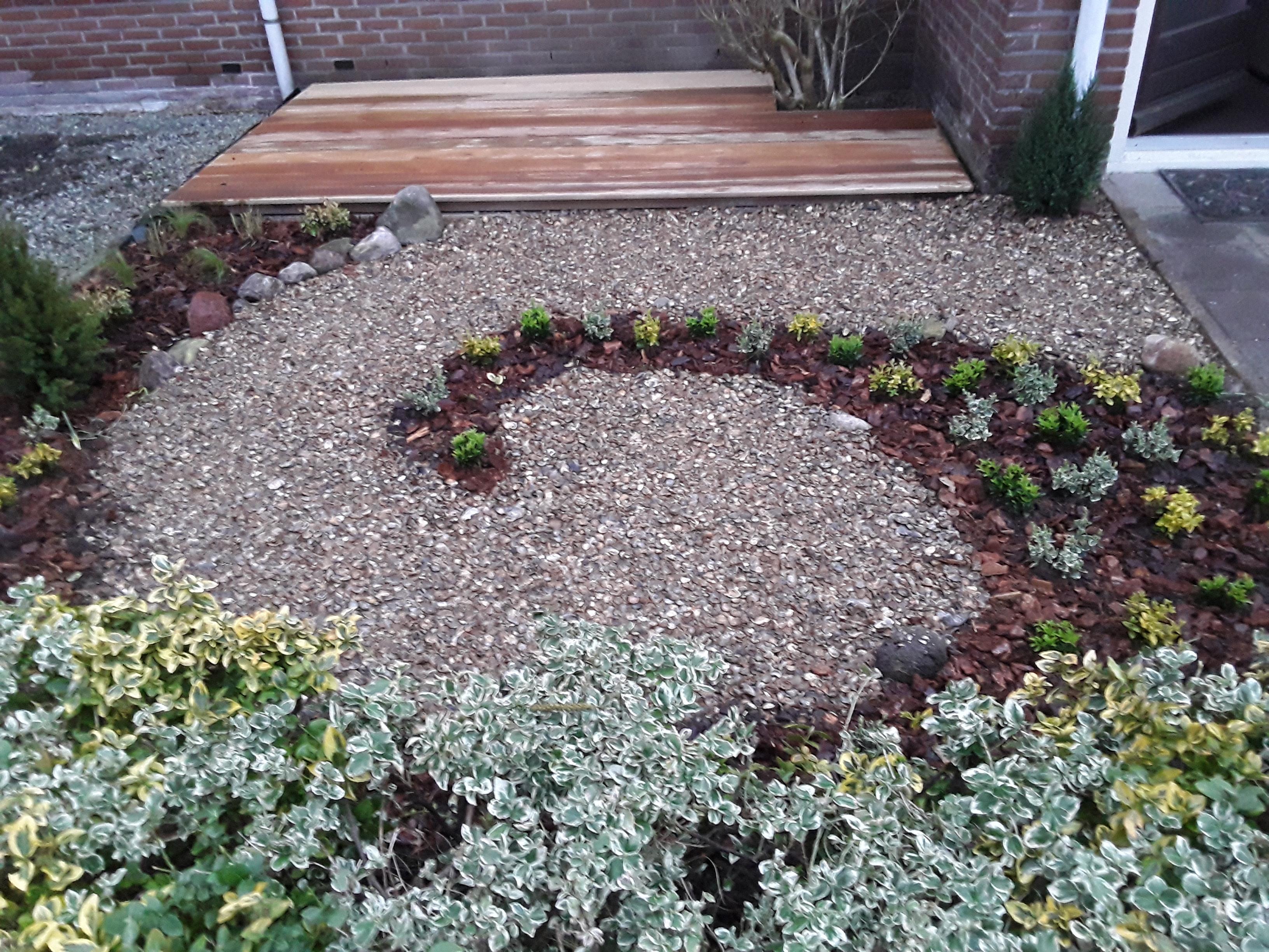 Onze voortuin met de prachtige schelpen en de plantjes er omheen.